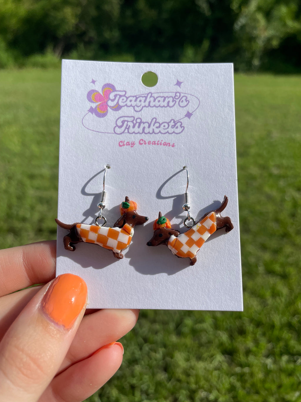 Pumpkin Checker Dachshunds