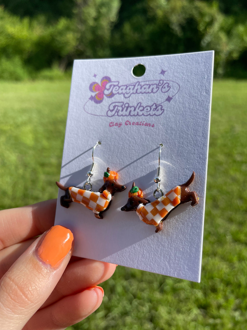 Pumpkin Checker Dachshunds